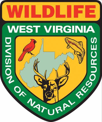 Division of Natural Resources logo