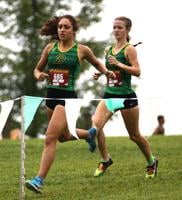 State cross country meet is Saturday in Ona