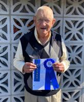 Senior citizens art show winners recognized