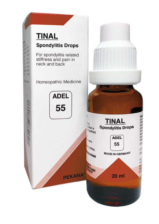 ADEL - 55 Spondylitis Drops